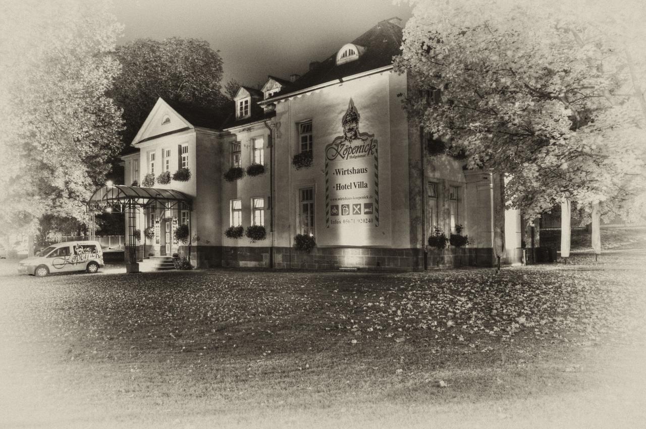 Hotel Villa Wirtshaus Koepenick Hofgeismar Eksteriør billede